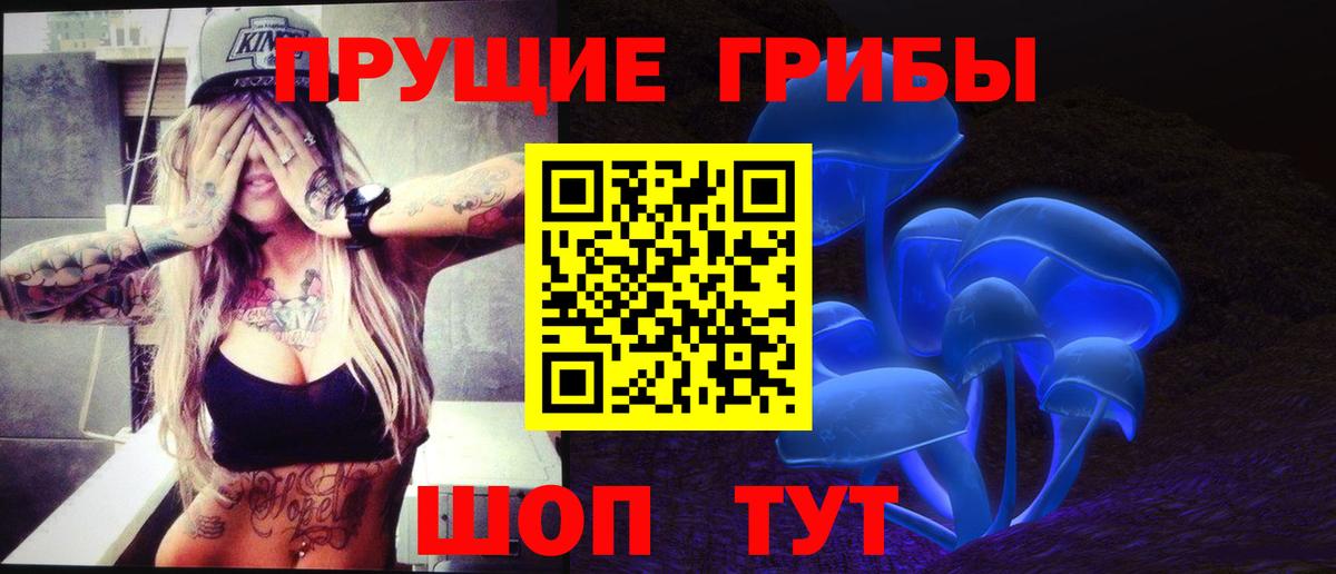 Галлюциногенные грибы MAGIC MUSHROOMS  Вход с VPN  Большой Камень 